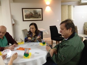 bridge 2017 fotos curso de   principiantes 4